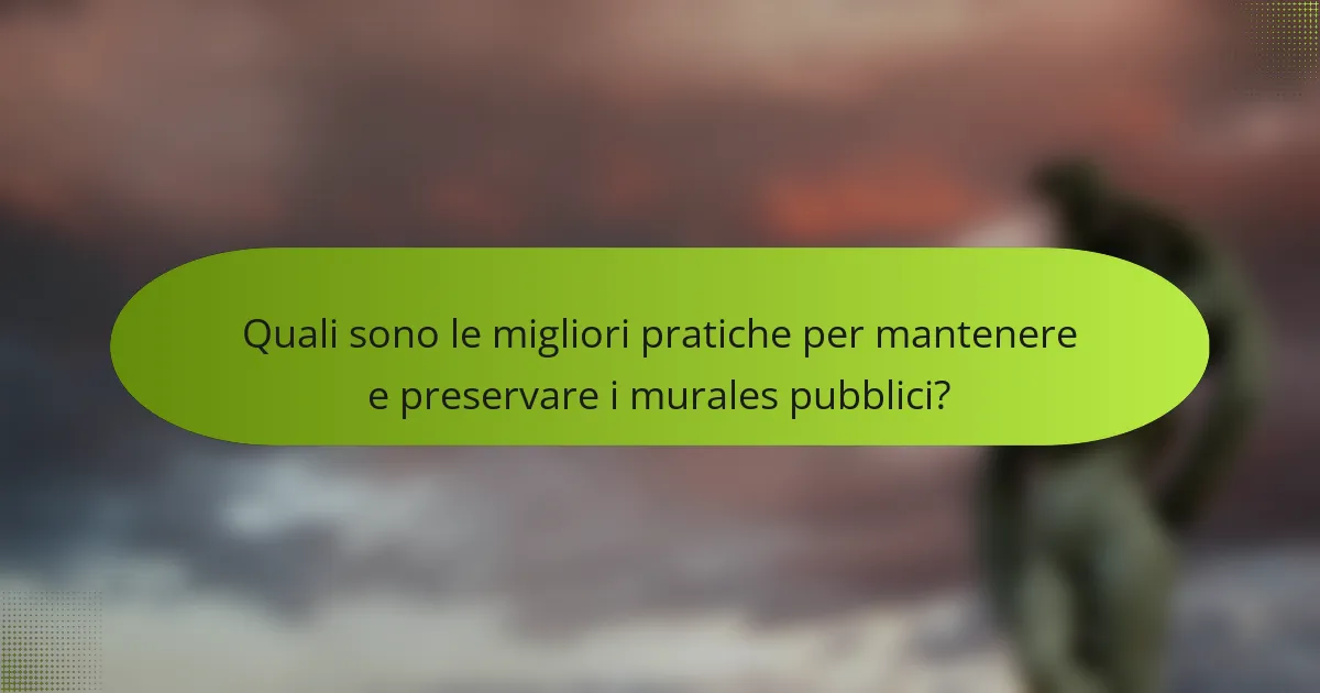 Quali sono le migliori pratiche per mantenere e preservare i murales pubblici?