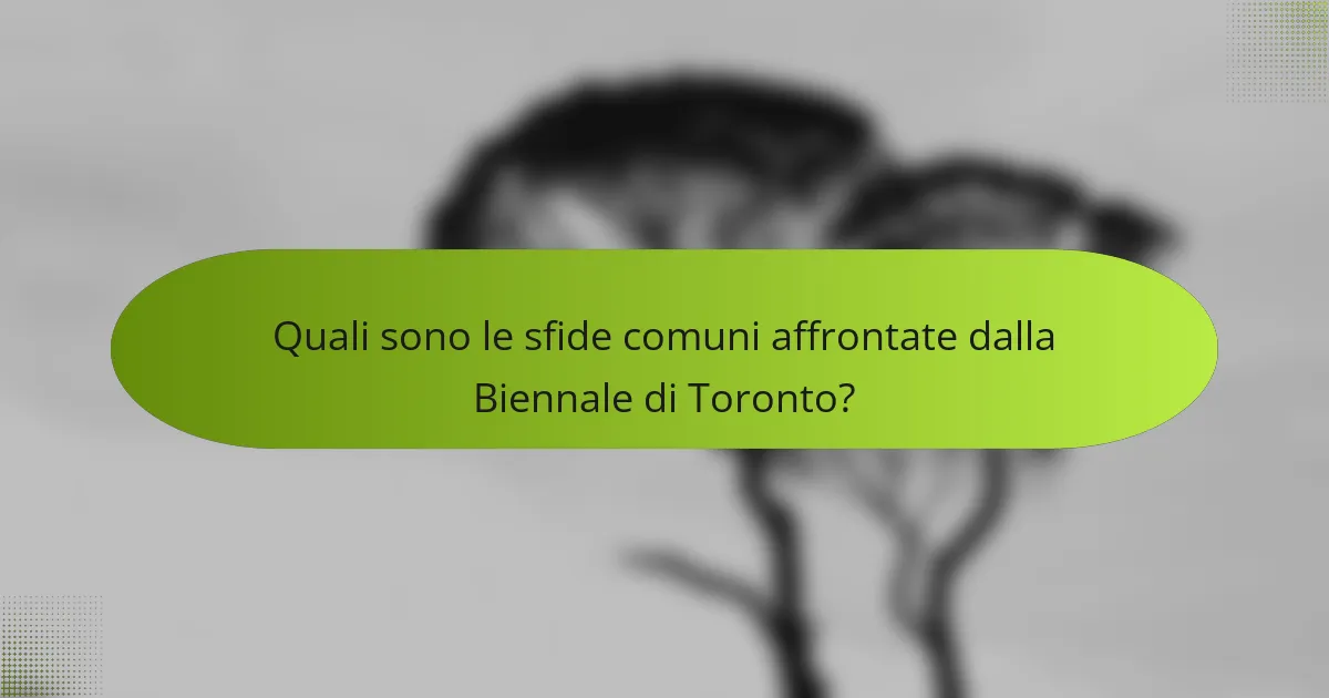 Quali sono le sfide comuni affrontate dalla Biennale di Toronto?